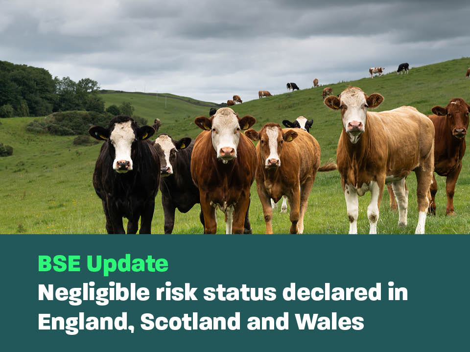 BSE Update: Negligible Risk status declared in England, Scotland and ...
